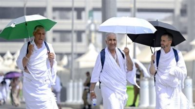 بدء تفويج أفواج حجاج القرعة من المنوفية وقنا إلى المدينة المنورة