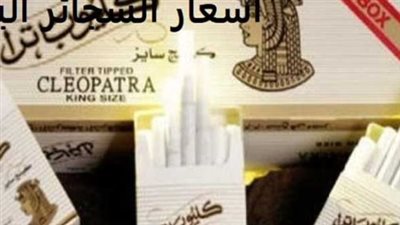 أسعار كليوباترا ومونديال وبوسطن في الأسواق المصرية اليوم الأربعاء