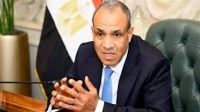 تعزيز العلاقات الاستراتيجية.. تفاصيل الاتصال الهاتفي بين بدر عبد العاطي ووزيرة خارجية النمسا