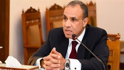 عبد العاطي يبحث مع 