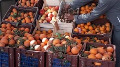 دليلك اليومي لميزانية البيت: أسعار الخضروات والفاكهة في أسواق محافظة القاهرة