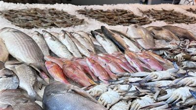تقلبات أسعار الأسماك في الأسواق المصرية اليوم الاثنين 8 يونيو