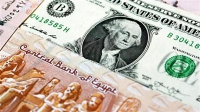 البنك المركزي يحدد اتجاهات السوق: سعر الدولار اليوم في البنوك المصرية