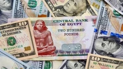 نظرة على سعر الدولار مقابل الجنيه في مصر اليوم 14 يونيو 2026