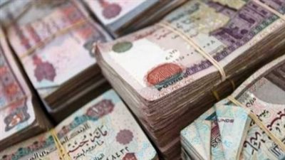 التأمينات الاجتماعية: جاهزية منافذ الصرف لبدء صرف معاشات يوليو 2026