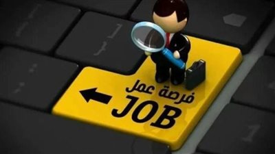 تخصصات متنوعة: تفاصيل الوظائف الفنية والإدارية الجديدة بشركات النقل