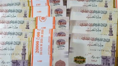 خارطة استثمارية لعام 2026: مميزات وعيوب الشهادات الادخارية الجديدة في مصر