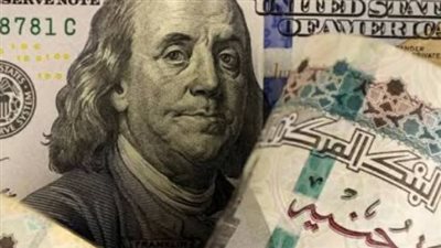 دليل أسعار الدولار في البنوك المصرية: استقرار ملحوظ في حركة التداول