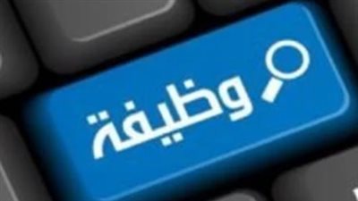 دليل التقديم لوظائف وزارة العمل: 350 فرصة عمل لسائقي رخصة أولى في القاهرة
