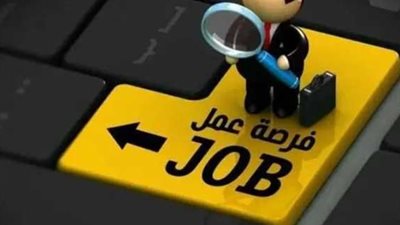 وظائف القطاع الخاص: تفاصيل الرواتب وطريقة التقديم على 350 وظيفة سائق باص
