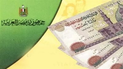 لا تفقد دعمك.. دليلك المعتمد لتحديث بيانات بطاقة التموين هذا العام