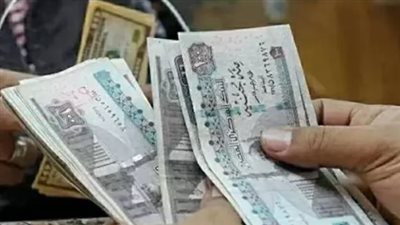 دليل الخدمات الاجتماعية: كيف تحصل على دعم تكافل وكرامة في مصر؟