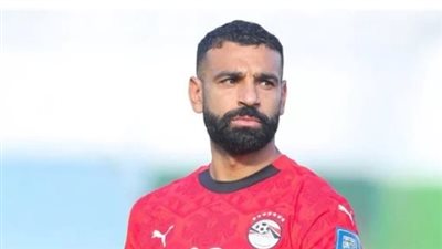 تقرير 