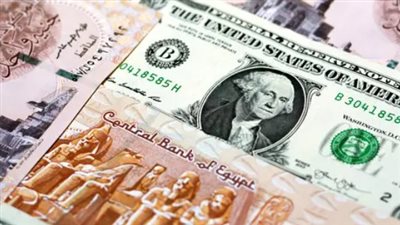 تعرف على سعر الدولار مقابل الجنيه فى البنك المركزى المصرى