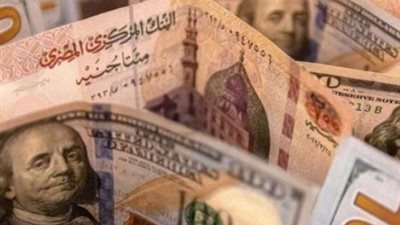 تحديثات أسعار الدولار في البنوك المصرية: استقرار ملحوظ في تعاملات الخميس