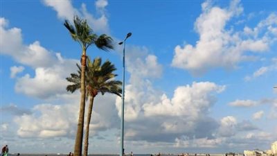طقس الصيف في ذروته: نصائح للتعامل مع ارتفاع درجات الحرارة ونسب الرطوبة