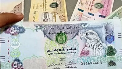 للمسافرين والمستثمرين: خريطة أسعار الدرهم الإماراتي في مختلف البنوك المصرية