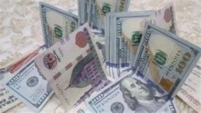 سعر الدولار اليوم: حالة من الهدوء والاستقرار تسيطر على البنوك
