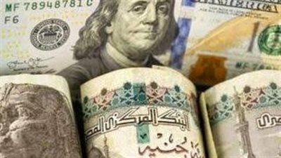 استقرار أسعار الدولار أمام الجنيه المصري في تعاملات الاثنين 6 يوليو 2026