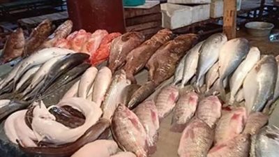 سوق الأسماك اليوم: تباين أسعار المكرونة والسبيط والجمبري في مصر