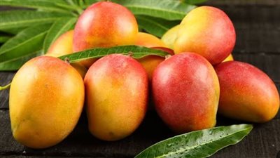 لماذا تختلف أسعار الفاكهة؟ رصد لأحدث قوائم الأسعار اليوم