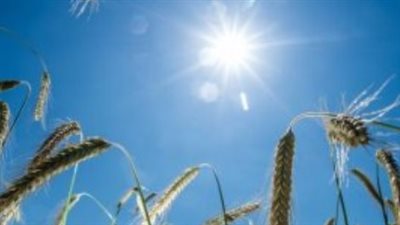 توقعات درجات الحرارة العظمى والمحسوسة في القاهرة والمحافظات اليوم