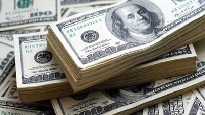 سعر الدولار في البنك المركزي المصري اليوم السبت 11 يوليو