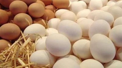 الأسواق المصرية اليوم.. أسعار الدواجن والبيض في ظل الاستقرار السعري
