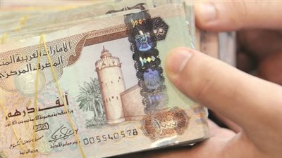 استقرار أسعار الدرهم الإماراتي في البنوك المصرية اليوم الإثنين