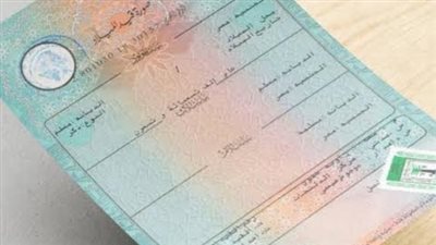 كيفية استخراج شهادة ميلاد مميكنة إلكترونيًا في دقائق 2026