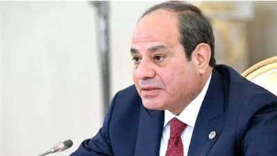 الرئيس عبد الفتاح السيسي يصل إلى تنزانيا لتعزيز التعاون والشراكة الأفريقية