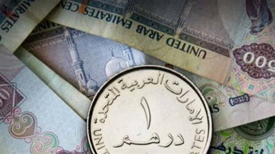 البنك المركزي المصري يعلن سعر الدرهم الإماراتي عند 13.89 جنيه للشراء و13.92 جنيه للبيع