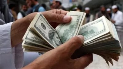 سعر الدولار اليوم في البنك المركزي المصري