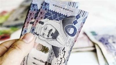 استقرار سعر الريال السعودي في البنوك المصرية وسط متابعة حركة العملات