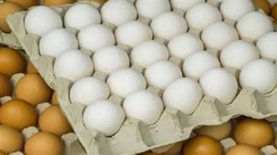 أسعار الفراخ اليوم في مصر.. البانيه يصل إلى 230 جنيهًا للكيلو