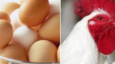 سعر الفراخ اليوم في المزارع والأسواق.. القائمة الكاملة