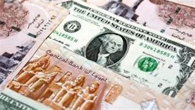 سعر الدولار مقابل الجنيه اليوم.. استقرار نسبي في بداية تعاملات الأحد