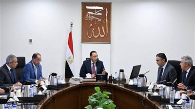 الدعم النقدي السلعي في مصر.. قائمة السلع الجديدة وخطة الحكومة لتوسيع اختيارات المواطنين