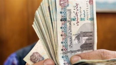 التموين تستعد للتحول إلى الدعم النقدي.. سلع جديدة تشمل اللحوم والدواجن والألبان
