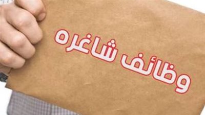 1489 فرصة عمل جديدة بالقطاع الخاص.. اعرف أماكن الوظائف وكيفية التقديم