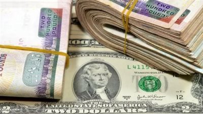 بكام الدولار اليوم؟ استقرار سعر العملة الأمريكية أمام الجنيه المصري