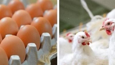 سعر البانيه اليوم وأسعار الفراخ والبيض.. تحديث جديد للأسواق الأحد 23 أغسطس