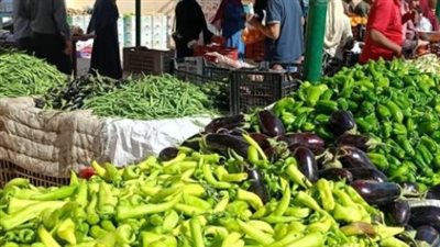أسعار الفاكهة اليوم.. الكنتالوب الأقل سعرًا والأناناس في الصدارة