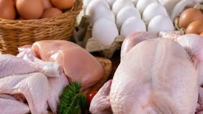 سعر كرتونة البيض اليوم.. تعرف على أسعار البيض الأحمر والأبيض والبلدي