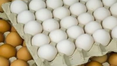 أسعار أجزاء الفراخ اليوم.. البانيه والأوراك والأجنحة والكبد والقوانص