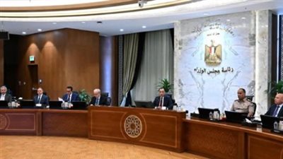 قرارات جديدة من مجلس الوزراء.. دعم سيناء وتعزيز الخدمات الصحية وتمويل مشروعات استراتيجية