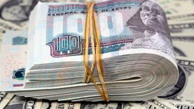 سعر الدولار في مصر اليوم.. استقرار نسبي أمام الجنيه