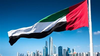 تشكيل المجلس الرئاسي.. دبلوماسية إماراتية تحيي آمال توحيد الصف في اليمن