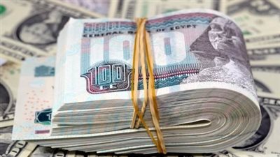 الدولار يستقر أمام الجنيه اليوم.. سعر العملة الأمريكية في البنوك المصرية