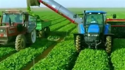من الإصلاح الزراعي إلى التحول الرقمي.. محطات في تاريخ الفلاح المصري